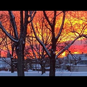 Meet your Posher, Ranim